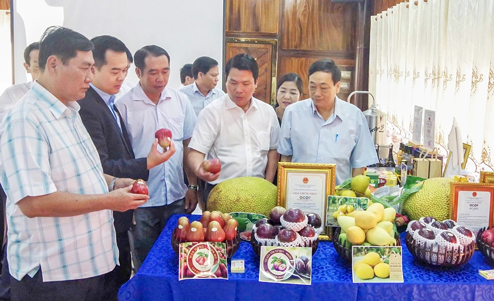 Kết nối đưa sản phẩm OCOP, nông sản đặc trưng TP Cần Thơ tiêu thụ tại khu du lịch 