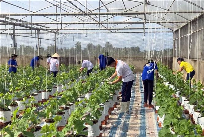 Thúc đẩy phát triển nông nghiệp, nông thôn bền vững 