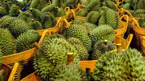 Giá nông sản hôm nay 10/4: Giá sắn tươi tăng mạnh; giá ớt giảm kỷ lục