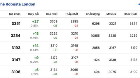 Giá cà phê hôm nay 14/4/2026: Tăng nhẹ 300 đồng/kg