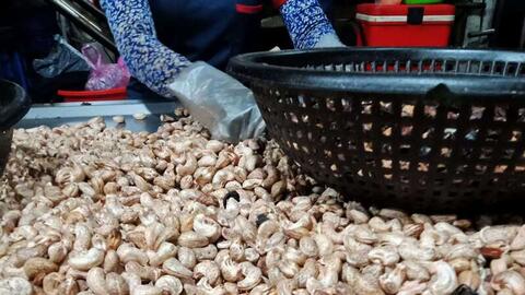 Giá nông sản hôm nay 20/4/2026: Nhiều hàng vào mùa, được giá