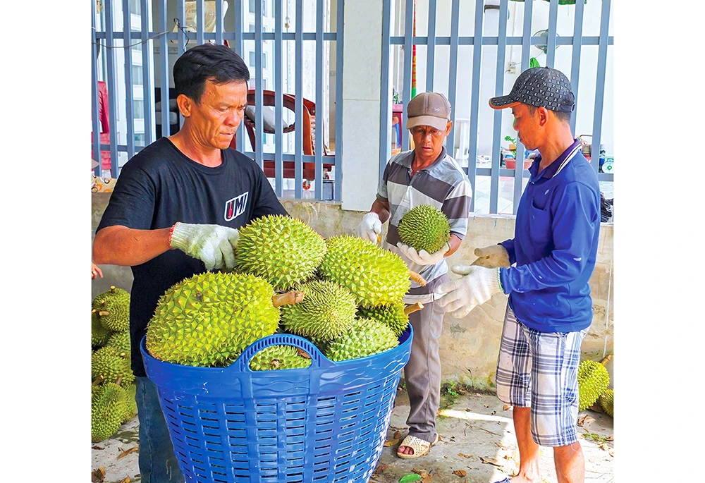 Dạo quanh thị trường ngày 23-4 
