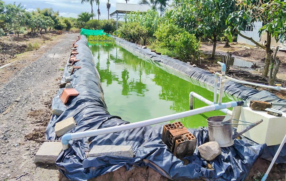 Tăng cường bảo vệ cây ăn trái mùa khô hạn, xâm nhập mặn 