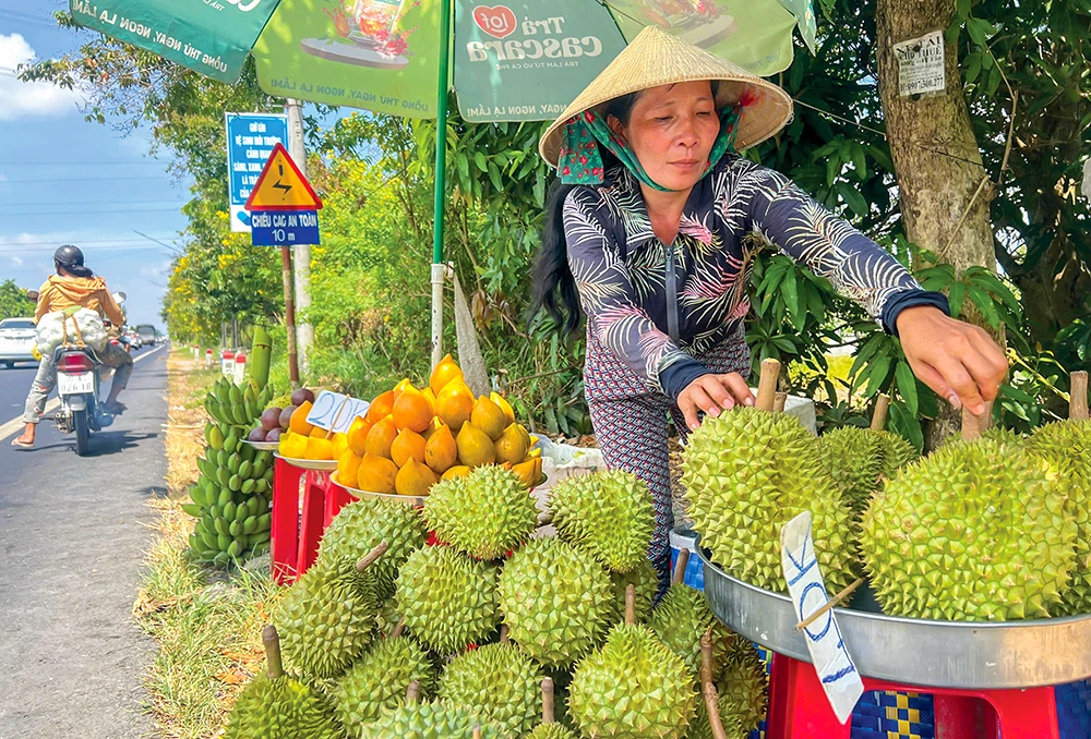 Ra ngõ gặp... sầu riêng ! 