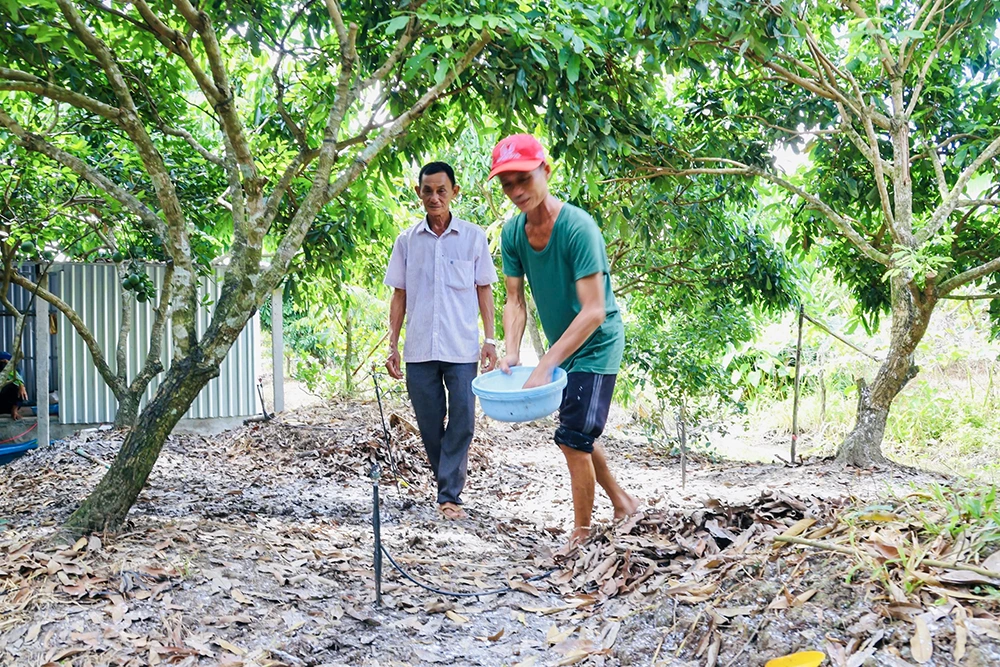 Nhạy bén đón đầu xu thế nông nghiệp sạch 