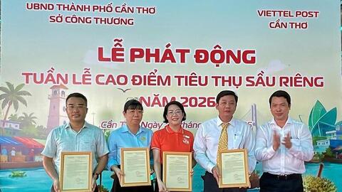 Cần Thơ mở tuần lễ cao điểm tiêu thụ sầu riêng, đẩy mạnh bán hàng số
