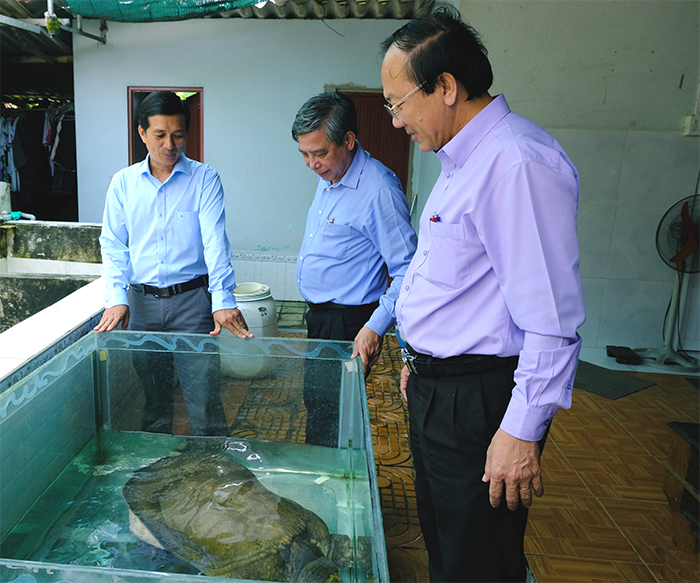 Khơi dậy nội lực nông dân 