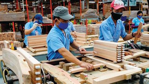 Dùng gỗ để giữ rừng: Đã đến lúc thay đổi tư duy về vật liệu xanh