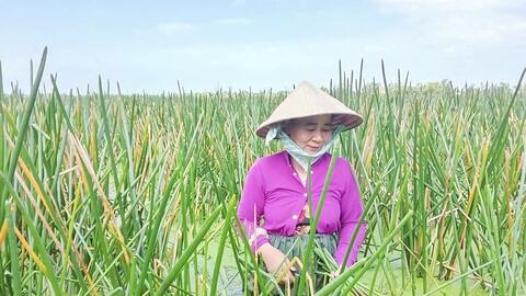 Vươn lên từ ý chí và sự cần cù lao động 
