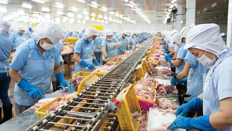 UKVFTA mở rộng cánh cửa cho thủy sản Việt Nam tại thị trường Anh