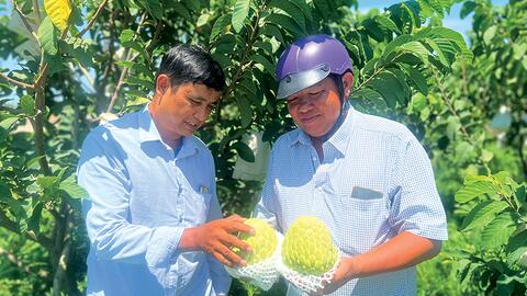 Hợp tác xã nông nghiệp - động lực kiến tạo nông thôn mới hiện đại 