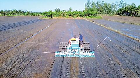 Chủ động theo dõi sát diễn biến thời tiết, sinh vật gây hại trên cây trồng 