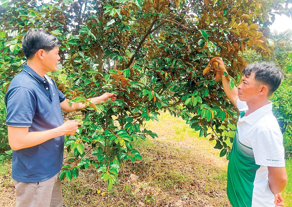 Động lực thúc đẩy tăng trưởng kinh tế địa phương 