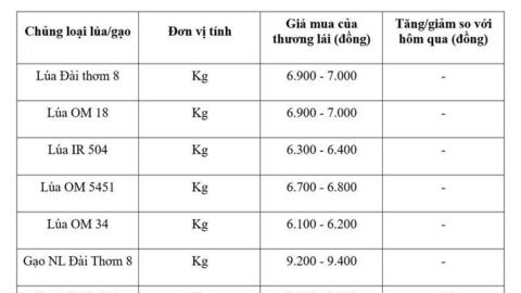 Giá lúa gạo hôm nay ngày 17/8: Gạo nguyên liệu xuất khẩu đảo chiều giảm nhẹ