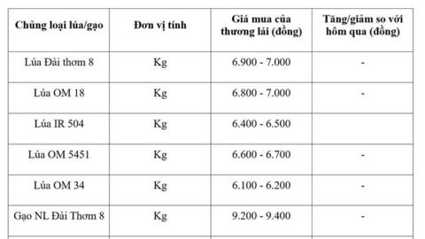 Giá lúa gạo hôm nay ngày 21/8: Gạo nguyên liệu xuất khẩu tiếp đà giảm