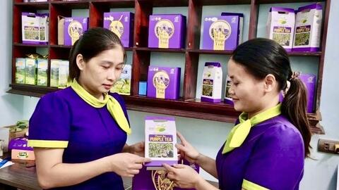 Liên kết chuỗi, xây dựng thương hiệu nâng tầm giá trị chè đất Tổ