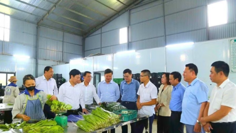 Đào tạo, chuyển giao kỹ thuật nâng sinh kế nông dân Phú Thọ