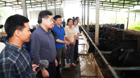 Đánh giá các mô hình khuyến nông tại Thái Nguyên