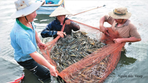 Sản lượng thủy sản 8 tháng tăng 3,8% so với cùng kỳ năm trước