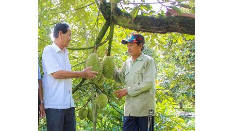 TP Cần Thơ có 4 nông dân đạt danh hiệu “Nông dân Việt Nam xuất sắc 40 năm đổi mới” 