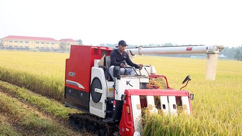Canh tác lúa thông minh, giảm chi phí, tăng hiệu quả 