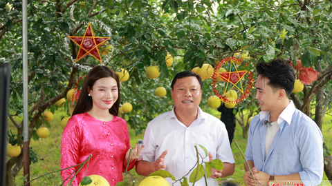 Hà Tĩnh: Đưa nông sản OCOP vươn xa qua phiên Mega Live