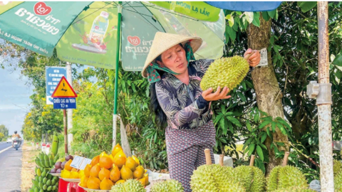 Bước ngoặt chiến lược cho chuỗi giá trị nông sản 