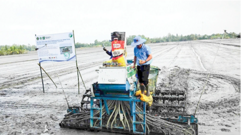 Nhân rộng mô hình hiệu quả từ Đề án 1 triệu héc-ta lúa 