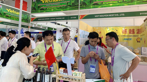 Doanh nghiệp Đà Nẵng tìm cơ hội xuất khẩu tại Hội chợ Trung Quốc–ASEAN