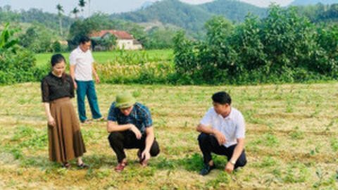 Tạo nền tảng giảm nghèo bền vững ở xã vùng biên ở Hà Tĩnh
