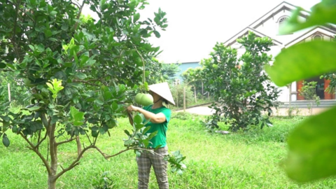 Giảm nghèo gắn liền với sinh kế bền vững