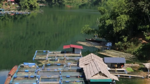 Thanh Hóa tạo động lực để người dân vươn lên thoát nghèo
