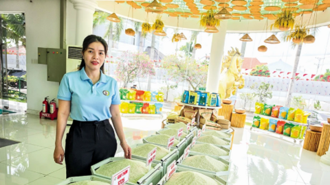 Đảm bảo đầu ra bền vững cho lúa gạo của Đề án 1 triệu héc-ta lúa