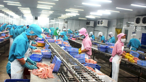 Cập nhật chính sách, quy định của Liên minh châu Âu về nhập khẩu thực phẩm, nông sản