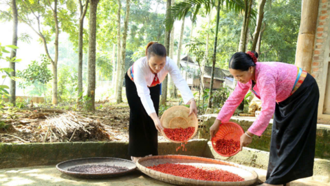 Hiệu quả tín dụng chính sách nhìn từ những mô hình sinh kế ở Lạc Sơn
