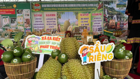 Đắk Lắk thúc đẩy tiêu thụ nông sản trên thị trường số