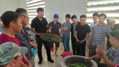 Đào tạo nghề gắn với thực tế sản xuất cho người dân vùng cao