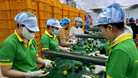 Bio Fruit Coop - Điểm sáng đổi mới sáng tạo, nâng tầm nông sản đồng bằng 