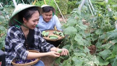 Gắn kết OCOP với du lịch nông thôn, gia tăng giá trị nông sản Việt 