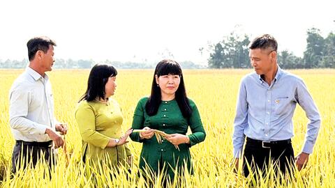 Giữ đà thắng lợi từ canh tác bền vững 