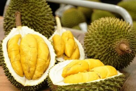 <a href="/xuat-khau" title="Xuất khẩu" rel="dofollow">Xuất khẩu</a>