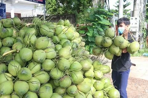 <a href="/xuat-khau" title="Xuất khẩu" rel="dofollow">Xuất khẩu</a>