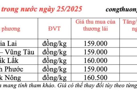 <a href="/nong-nghiep" title="Nông nghiệp" rel="dofollow">nông nghiệp</a>