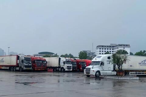 <a href="/xuat-khau" title="Xuất khẩu" rel="dofollow">Xuất khẩu</a>