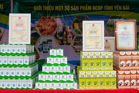 <a href="/nong-thon-moi" title="Nông thôn mới" rel="dofollow">Nông thôn mới</a>