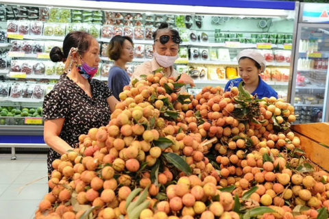 <a href="/nong-nghiep" title="Nông nghiệp" rel="dofollow">nông nghiệp</a>