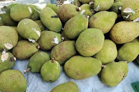 <a href="/nong-nghiep" title="Nông nghiệp" rel="dofollow">nông nghiệp</a>