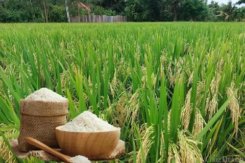<a href="/nong-nghiep" title="Nông nghiệp" rel="dofollow">nông nghiệp</a>