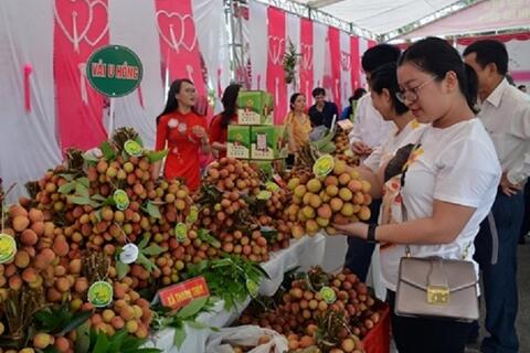<a href="/nong-nghiep" title="Nông nghiệp" rel="dofollow">nông nghiệp</a>