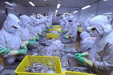 <a href="/xuat-khau" title="Xuất khẩu" rel="dofollow">Xuất khẩu</a>